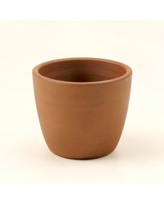 Shanitaortia Cachepot (synthetic illustration; no displayed measurements)
