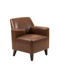 Irving Upholstered Side Chair In Brown (synthetic illustration; no displayed measurements)