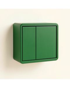 Flint Branch Wall-Mounted Entry Cabinet - Green (synthetic illustration; no displayed measurements)