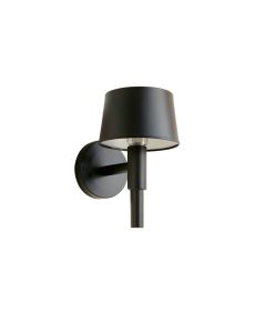 Birch Dell Wall Sconce Mounted On A Plain Wall - Black