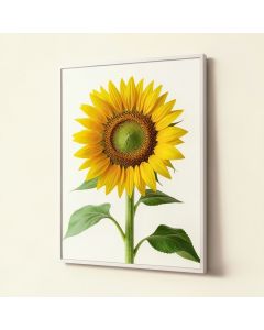 Sunflower - Advertisement Print (synthetic illustration; no displayed measurements)