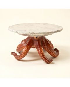 Octopus Sled Coffee Table (synthetic illustration; no displayed measurements)