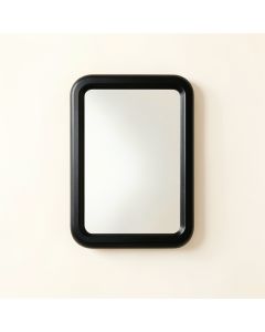 Juniper Brook Framed Wall Mirror - Black (synthetic illustration; no displayed measurements)