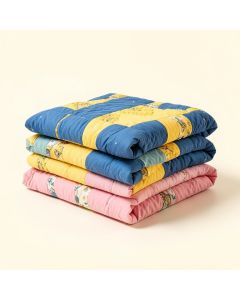 Roger Dinosaur Zoon Quilt Set (synthetic illustration; no displayed measurements)