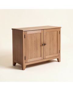 Ione 2 Door Accent Cabinet (synthetic illustration; no displayed measurements)