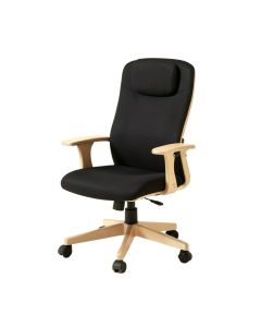 Zorayr Ergonomic Executive Chair (synthetic illustration; no displayed measurements)