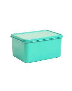 Neves Tin Bread Box