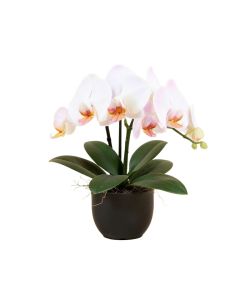 Real Touch Phalaenopsis Silk Orchid Floral Arrangement