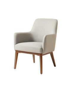 Hiawassee Side Chair (synthetic illustration; no displayed measurements)