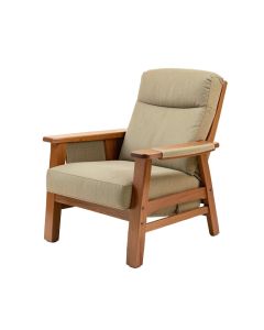 Palantoni 37.7 '' Wide Power Lift Assist Standard Recliner (synthetic illustration; no displayed measurements)
