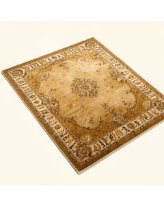 Faraz Shag Champagne Rug (synthetic illustration; no displayed measurements)