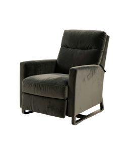 Dilean 31 '' Wide Velvet Power Lift Assist Standard Recliner (synthetic illustration; no displayed measurements)