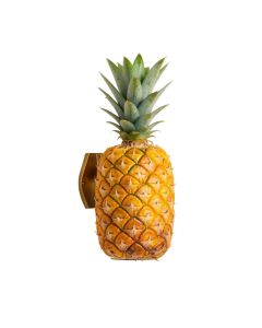 Natalee Pineapple Accent Wall Sconce