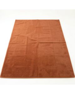 Clay Crossing Rectangular Area Rug - Terracotta (synthetic illustration; no displayed measurements)