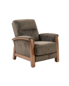 Tasmin 41 '' Wide Power Standard Recliner