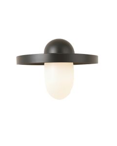 Contemporary 1-Light Bath Bar