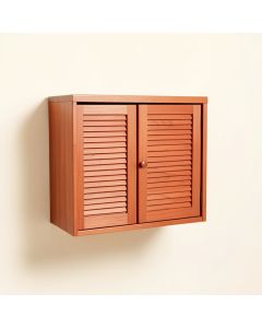 Birch Arc Wall-Mounted Entry Cabinet (synthetic illustration; no displayed measurements)