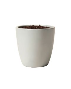 Friedman Pot Planter