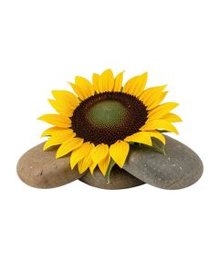 Sunflower 3 Piece Stepping Stone Set