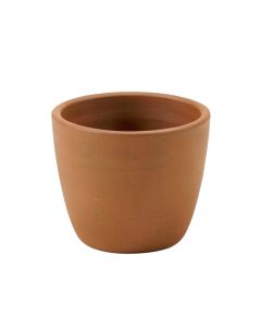 Shanitaortia Cachepot