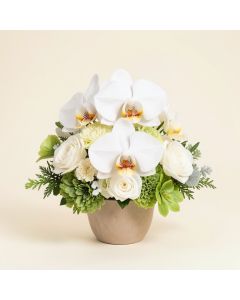 14 '' Hx19 '' W Phalaenopsis Orchid & Sedum Silk Flower Arrangement -White (synthetic illustration; no displayed measurements)
