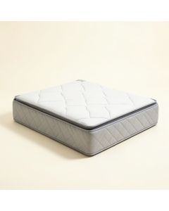 Wayfair Sleep 14 '' Plush Hybrid Mattress (synthetic illustration; no displayed measurements)