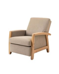Hamden 29.5 '' Wide Power Wall Hugger Standard Recliner