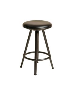 Mcmahan Worland Adjustable Height Bar Stool
