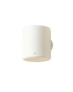 Meadow Canyon Wall Sconce Mounted On A Plain Wall - White