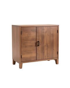 Oli 2 Door Accent Cabinet (synthetic illustration; no displayed measurements)