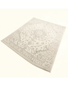 Aiken Oriental Ivory/Sliver Area Rug (synthetic illustration; no displayed measurements)