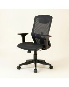 Ergonomic Task Chair Task Chair (synthetic illustration; no displayed measurements)