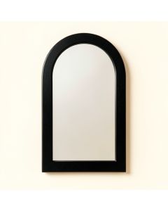 Shore Branch Framed Wall Mirror - Black (synthetic illustration; no displayed measurements)