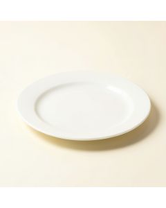 Willsboro 100 % Melamine 8.25 '' Salad Plate (synthetic illustration; no displayed measurements)