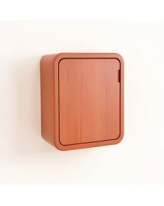 Maple Dale Wall-Mounted Laundry Cabinet - Terracotta (synthetic illustration; no displayed measurements)