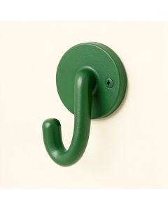Meadow Crossing Wall-Mounted Robe Hook - Green (synthetic illustration; no displayed measurements)