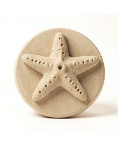 6 '' X 6 '' Cement Star Fish Fossil Impression Medallion Tile In Buff (synthetic illustration; no displayed measurements)