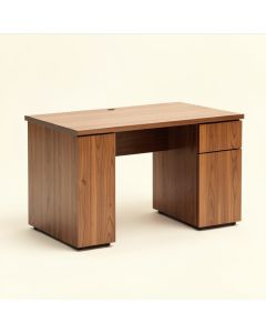 Reed Mid-Century Modern 2-Drawer Multicolor Wood Computer Desk (synthetic illustration; no displayed measurements)