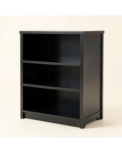 Willow Arc Empty Seed-Starting Shelving Unit Without Lights - Black (synthetic illustration; no displayed measurements)
