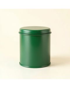 Stone Canyon Storage Canister With Lid - Green (synthetic illustration; no displayed measurements)
