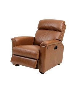 36.25 '' Wide Faux Leather Power Lift Assist Standard Recliner (synthetic illustration; no displayed measurements)