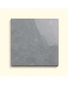 Silver Pearl Polished 12X12 Granite Field Tile (synthetic illustration; no displayed measurements)