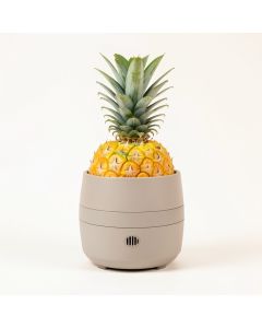 Essentials Pineapple Cilantro Diffuser (synthetic illustration; no displayed measurements)