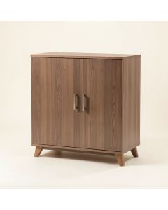 Ammon 2 Door Accent Cabinet (synthetic illustration; no displayed measurements)