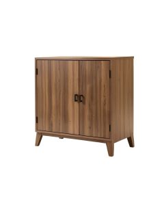 Fung 2 Door Accent Cabinet (synthetic illustration; no displayed measurements)