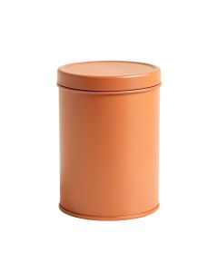 Birch Bend Storage Canister With Lid - Terracotta (synthetic illustration; no displayed measurements)
