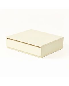 Pine Crossing Desktop Monitor Riser - Cream (synthetic illustration; no displayed measurements)