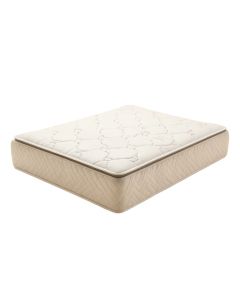 Freels 9 '' Plush Innerspring Mattress