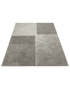 Ridge Branch Rectangular Area Rug - Gray (synthetic illustration; no displayed measurements)