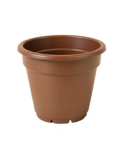 Aashika Self-Watering Plastic Elevated Planter
